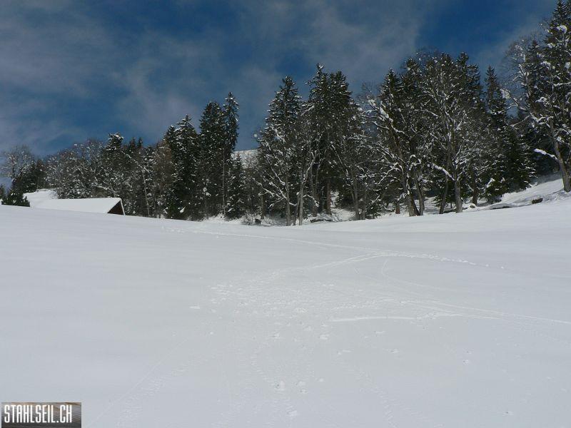 k-P1290351.JPG
