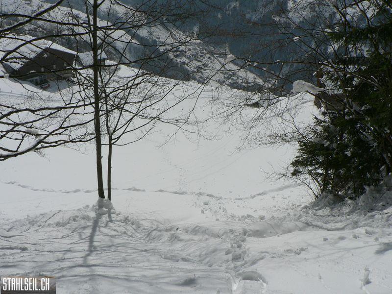 k-P1290352.JPG