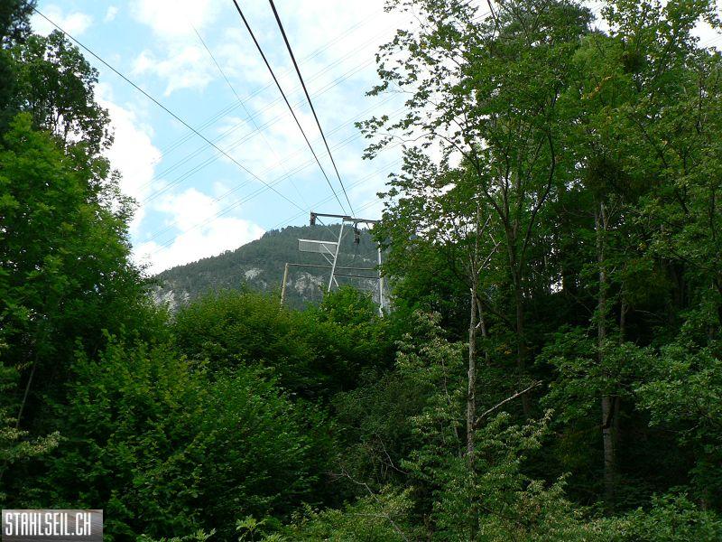 k-P1390880.JPG