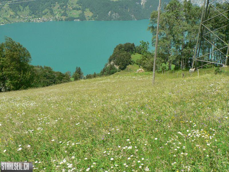 k-P1040774.JPG