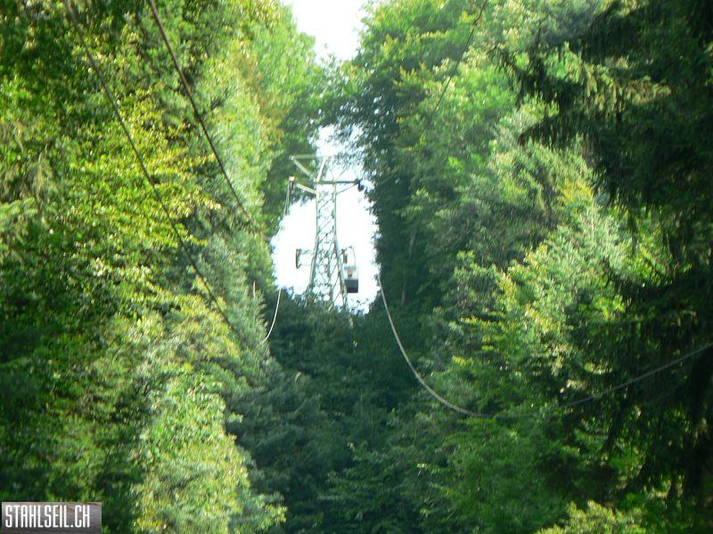 k-P1400018.JPG
