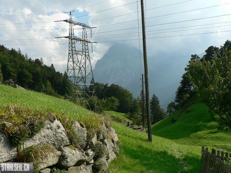 k-P1400063.JPG