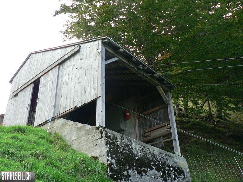 k-P1130013.JPG