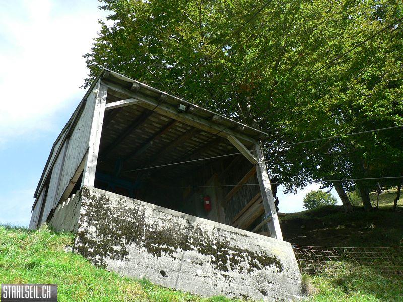 k-P1130876.JPG