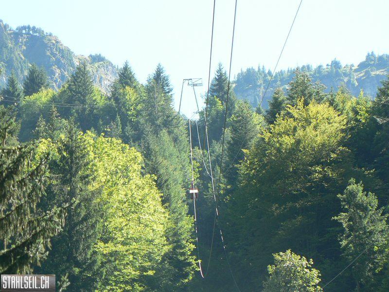 k-P1120753.JPG