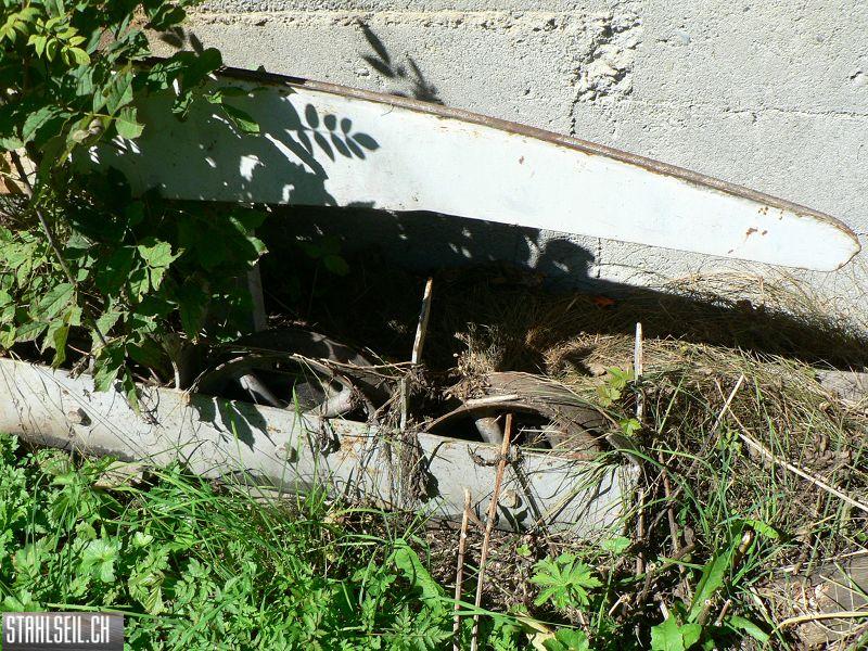 k-P1120764.JPG