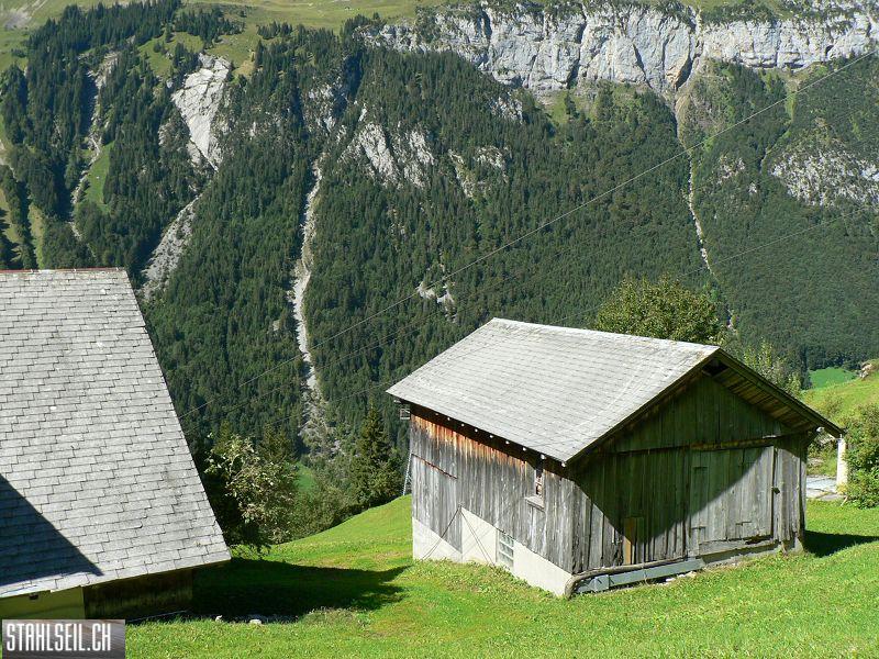 k-P1120846.JPG