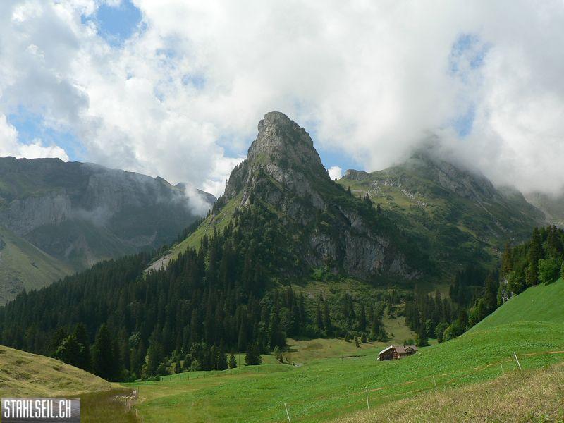 k-P1390711.JPG