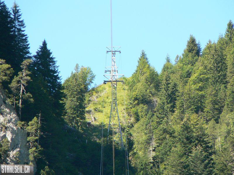 k-P1120513.JPG