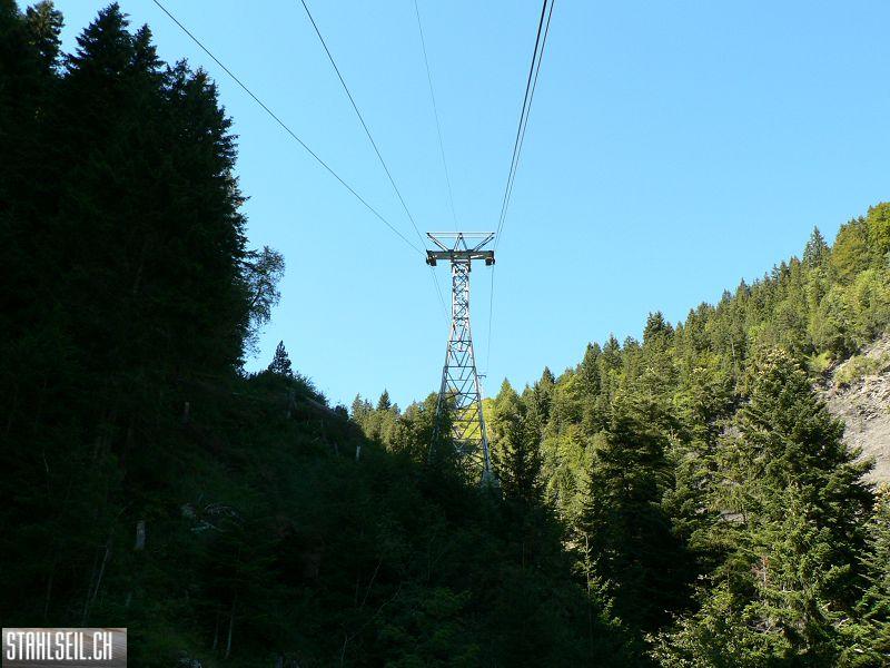 k-P1120518.JPG