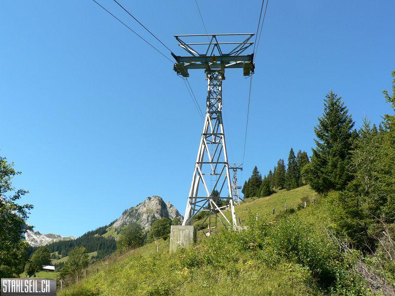 k-P1120531.JPG