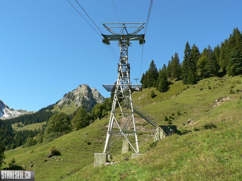k-P1120532.JPG