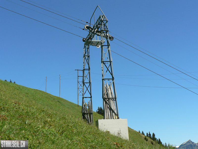 k-P1120598.JPG