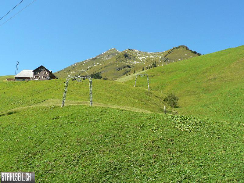 k-P1120698.JPG