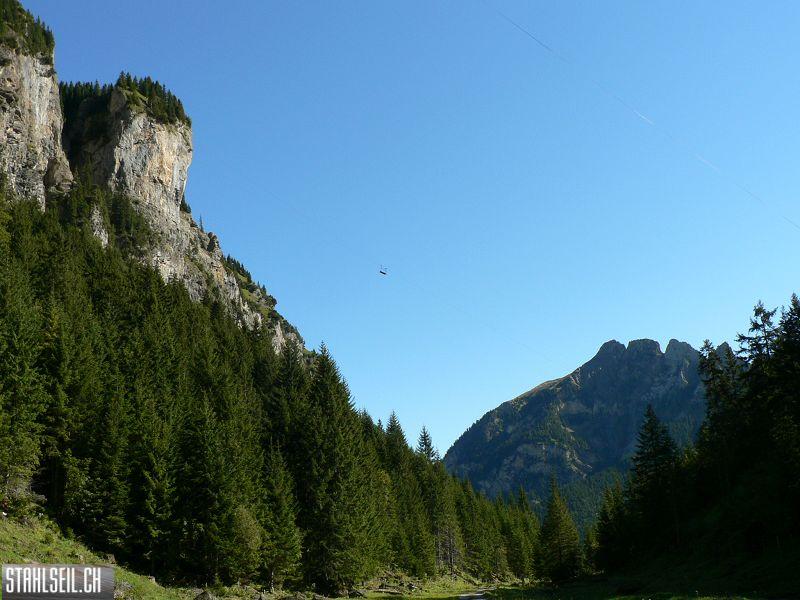 k-P1120445.JPG