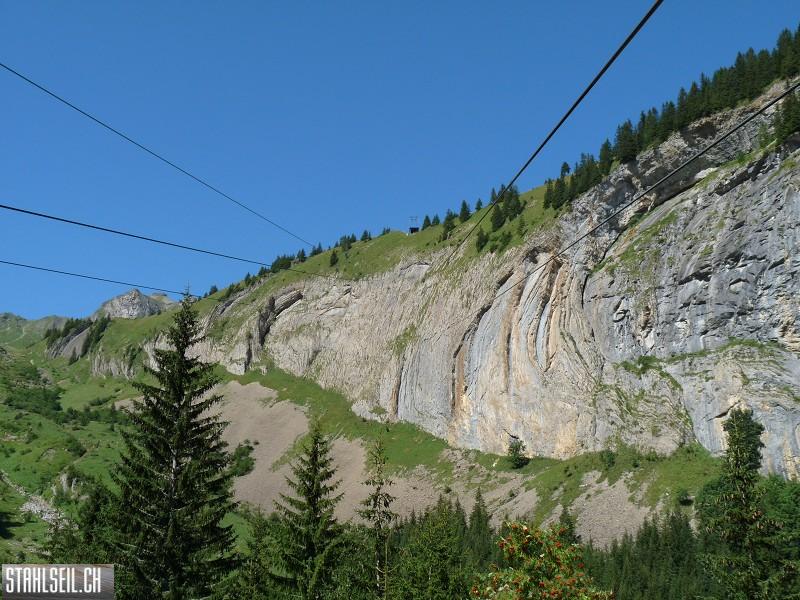 k-P1190557.JPG