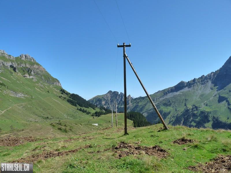 k-P1190568.JPG