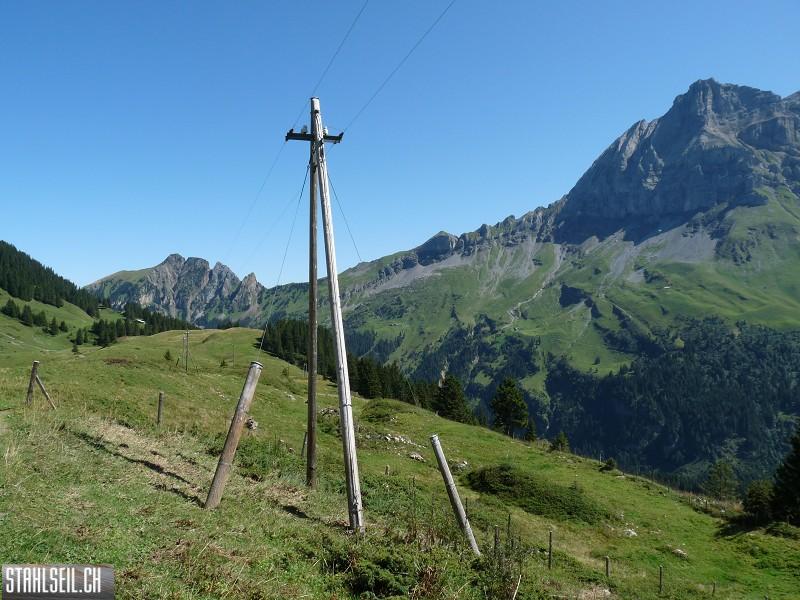 k-P1190652.JPG
