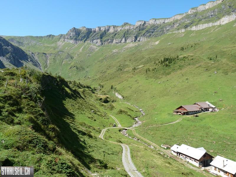 k-P1190657.JPG