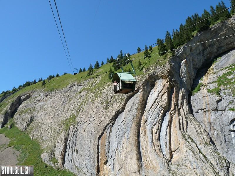 k-P1190679.JPG
