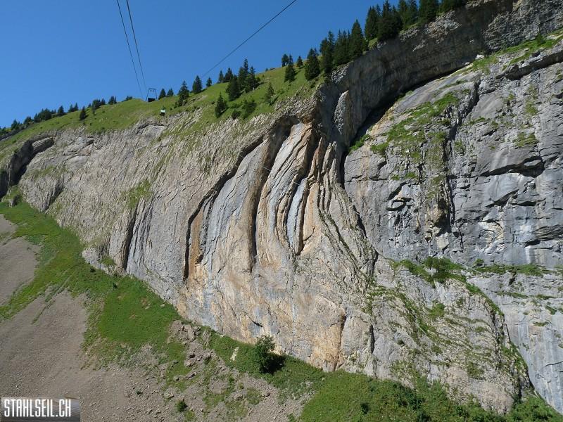 k-P1190681.JPG
