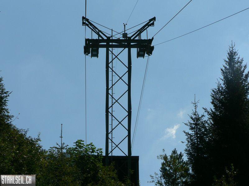 k-P1130151.JPG