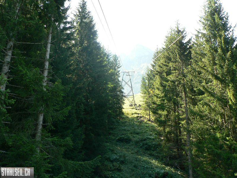 k-P1130230.JPG