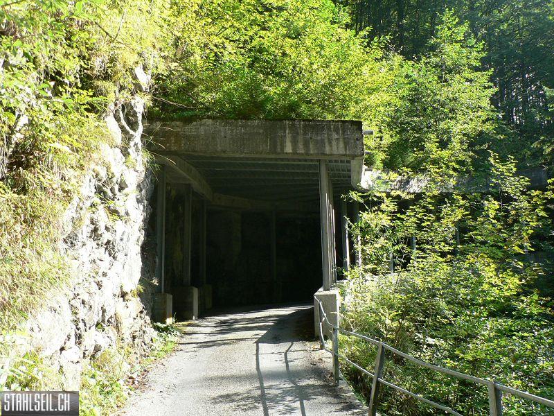 k-P1130396.JPG
