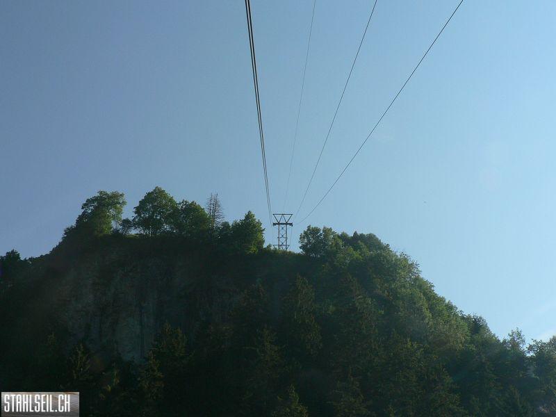 k-P1080581.JPG