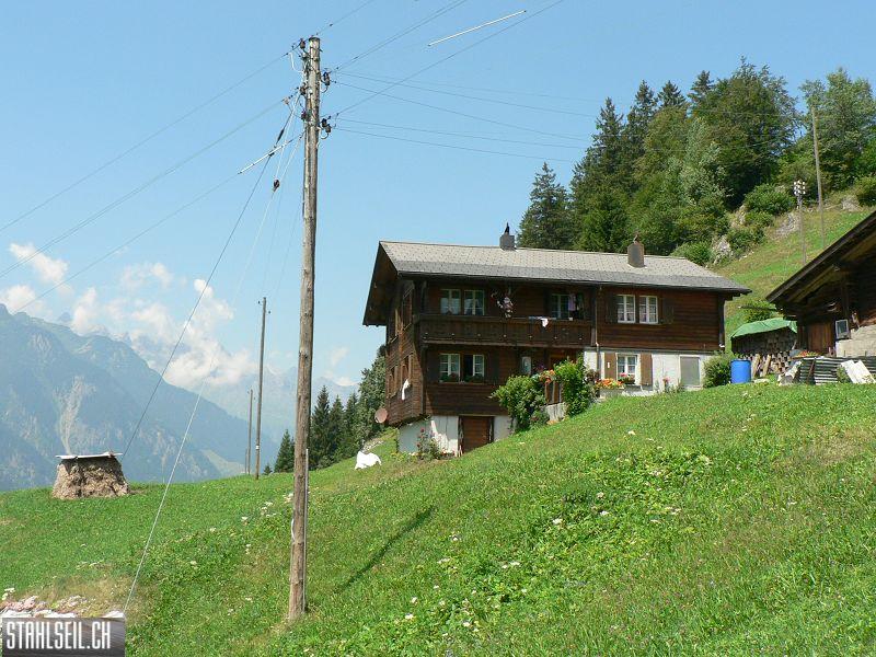 k-P1090012.JPG