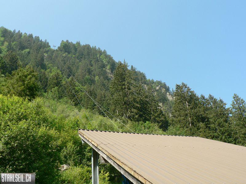 k-P1080885.JPG