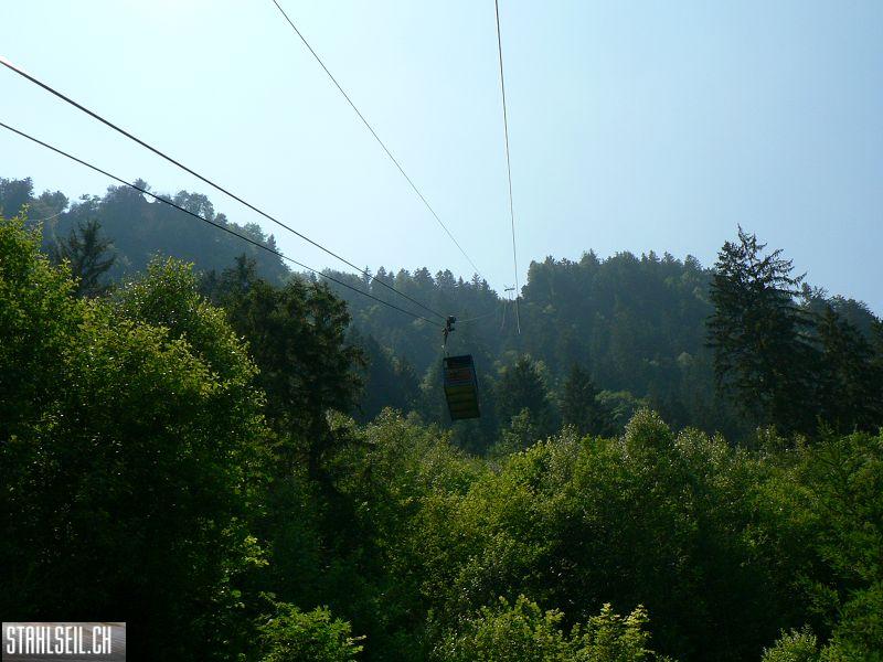 k-P1090087.JPG
