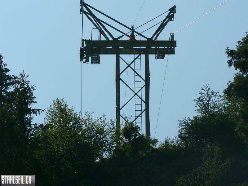 k-P1090110.JPG