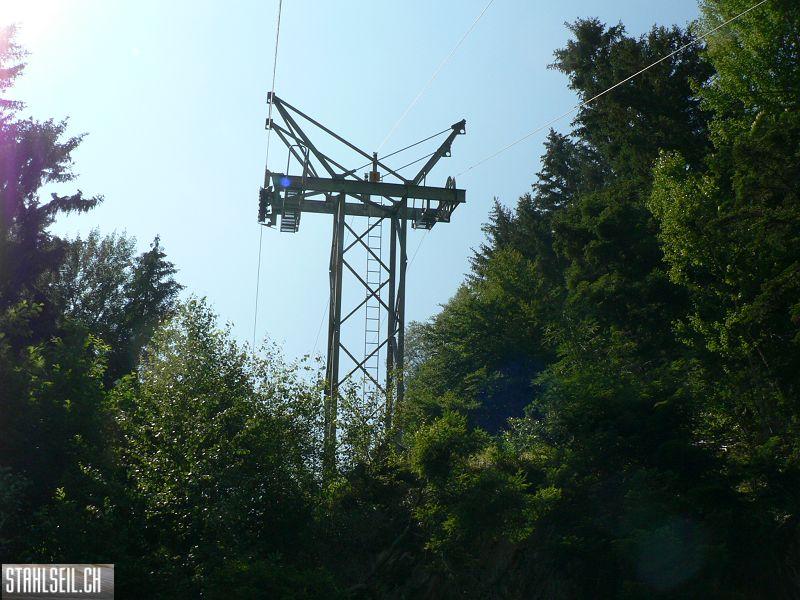 k-P1090114.JPG