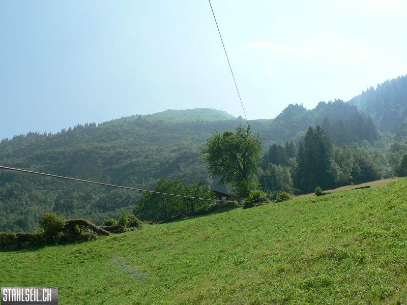 k-P1090147.JPG