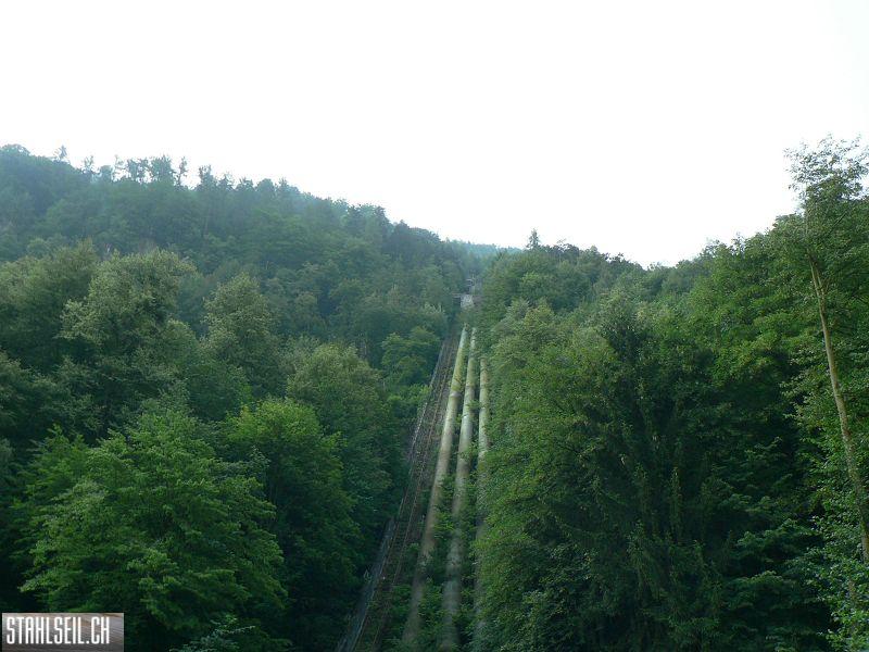 k-P1080539.JPG