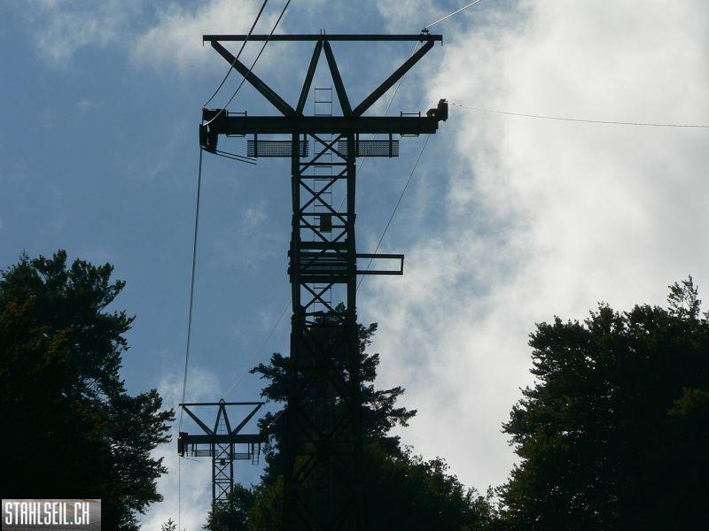 k-P1390774.JPG
