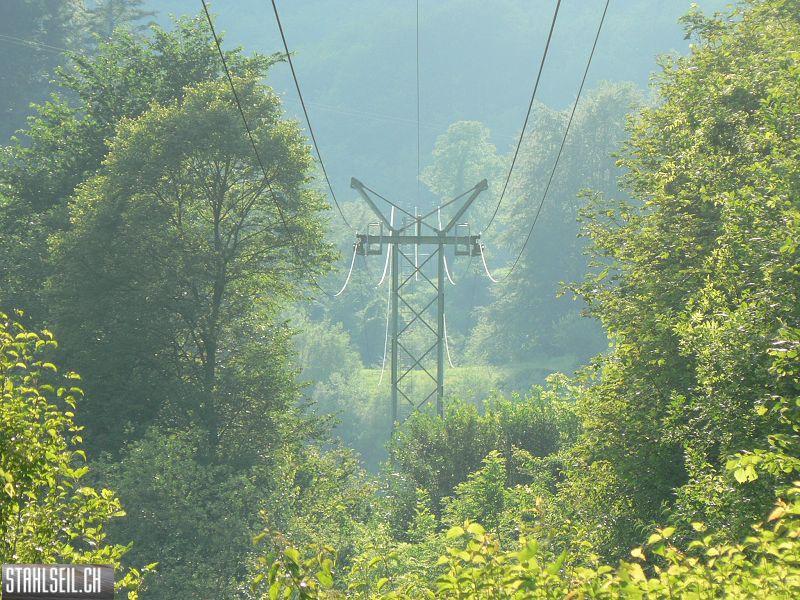 k-P1050891.JPG