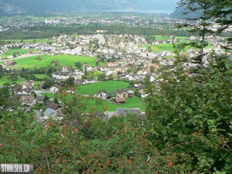 k-P1400746.JPG