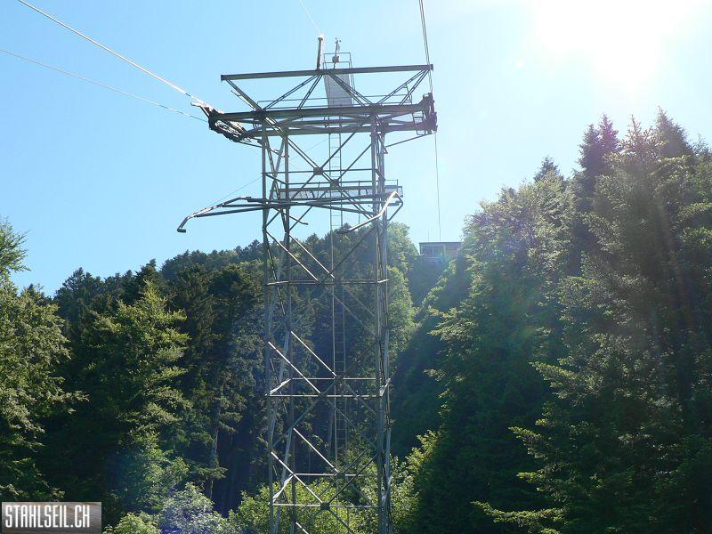 k-P1020859.JPG