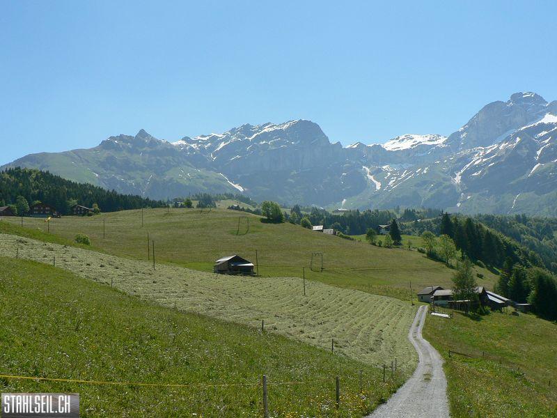 k-P1020935.JPG