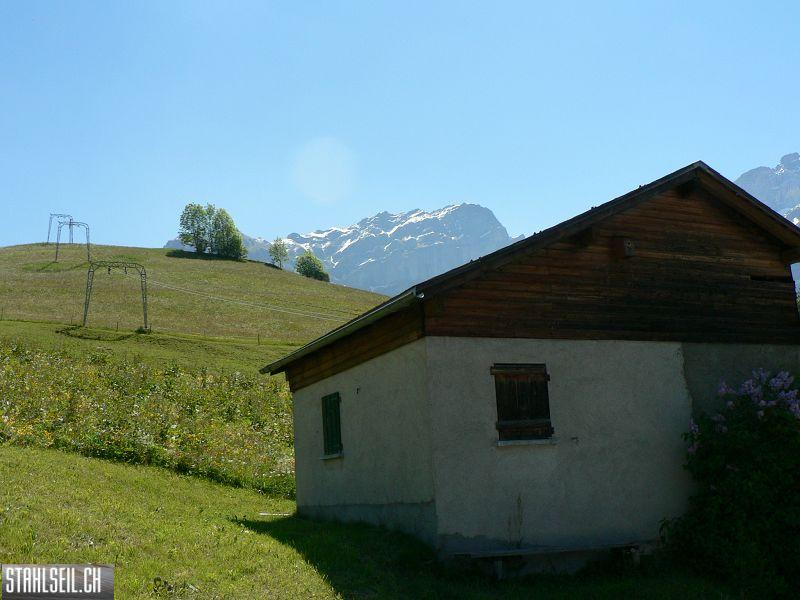 k-P1020937.JPG