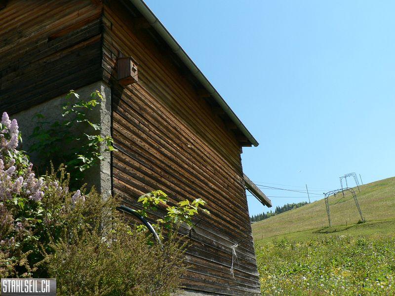 k-P1020966.JPG