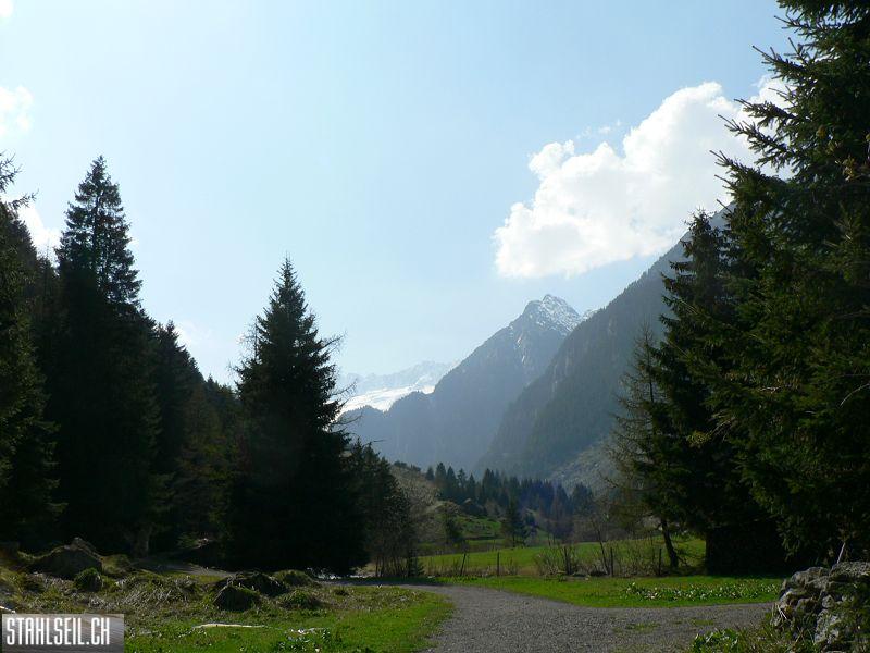 k-P1320815.JPG