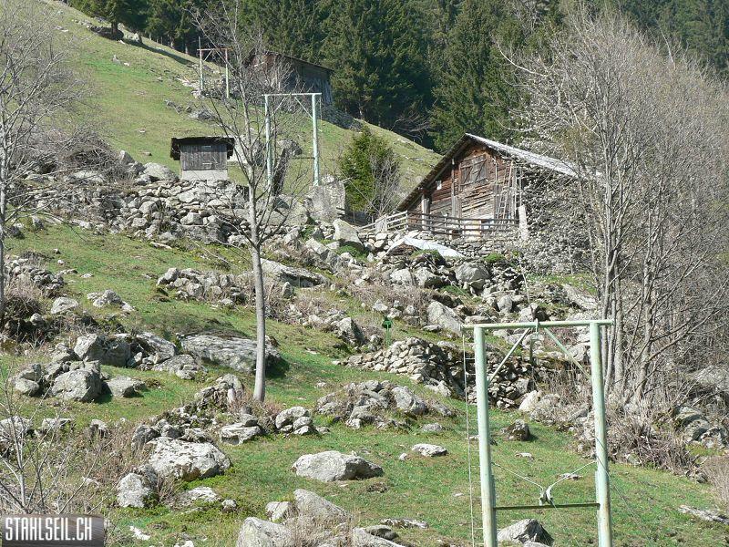 k-P1320828.JPG