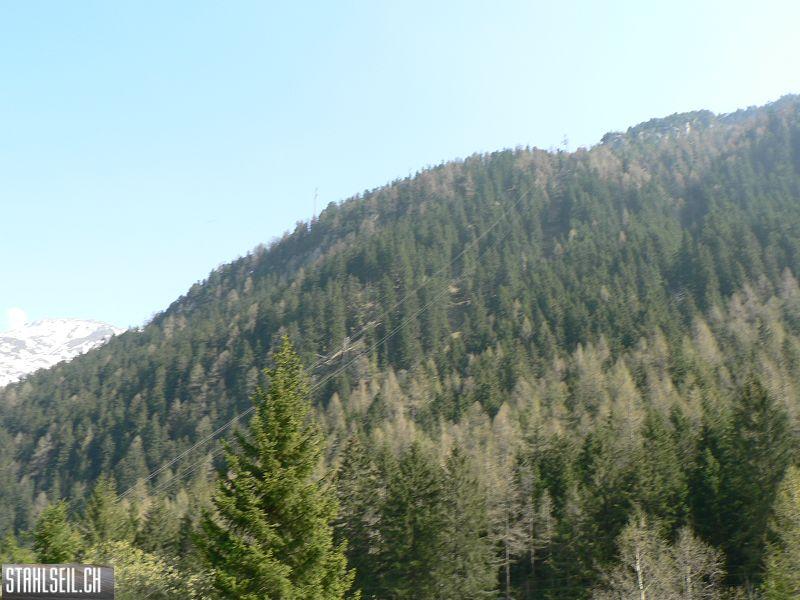 k-P1320832.JPG