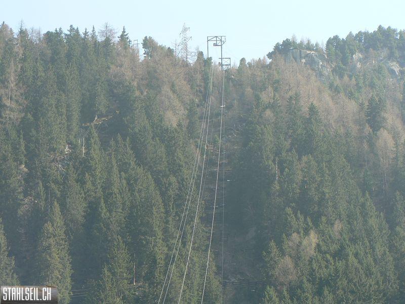 k-P1320834.JPG