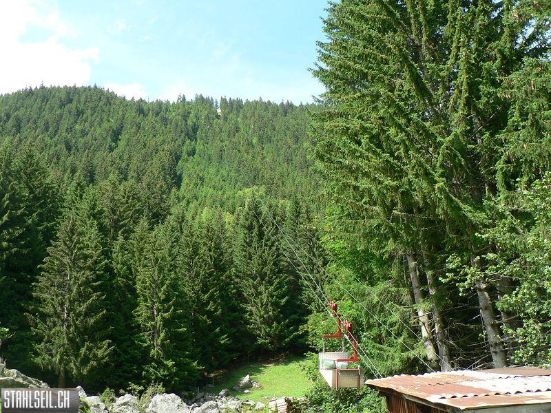 k-P1350788.JPG