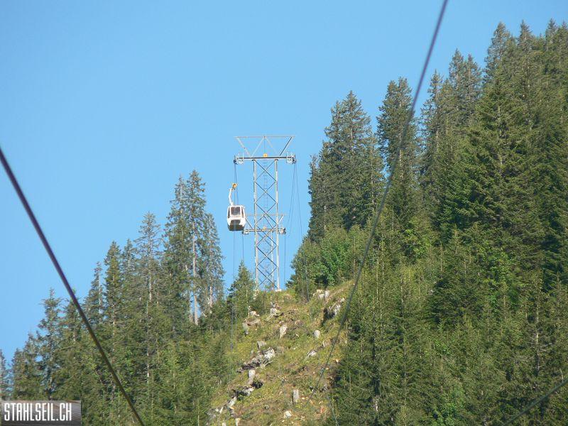 k-P1390277.JPG