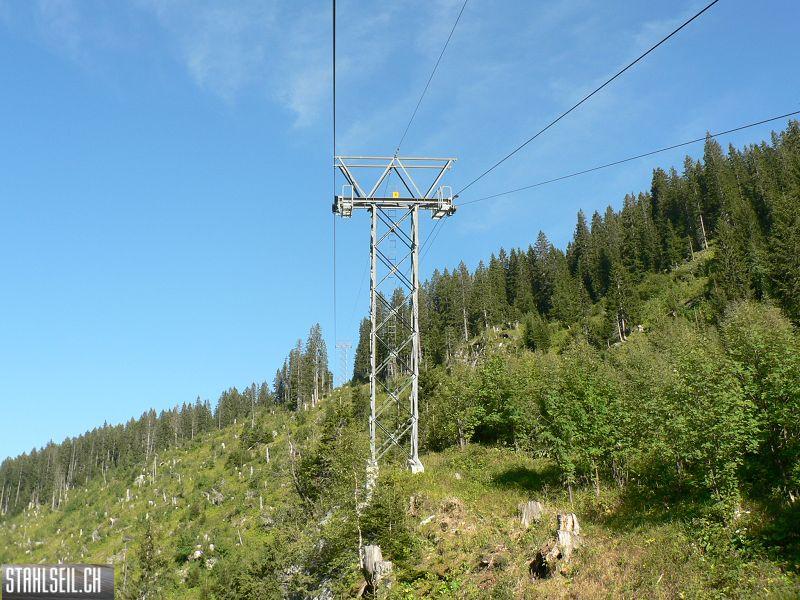 k-P1390295.JPG